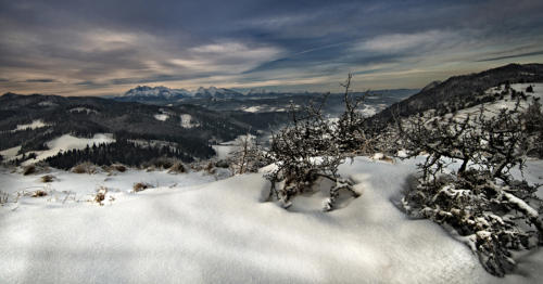 Pohľad na V.Tatry z Lesnického sedla